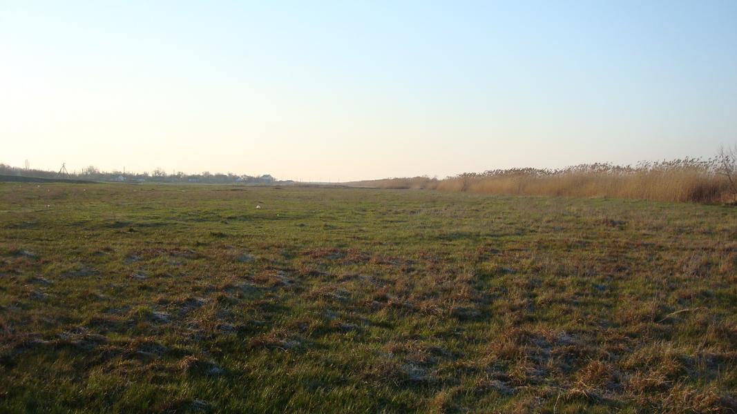 Наші фото - Привілля