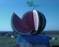 Мандрівки по околицях