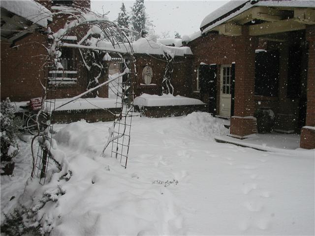 Наші фото - Костичани