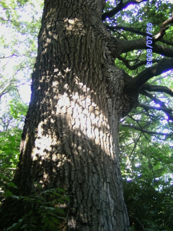 Наші фото - Волохівка