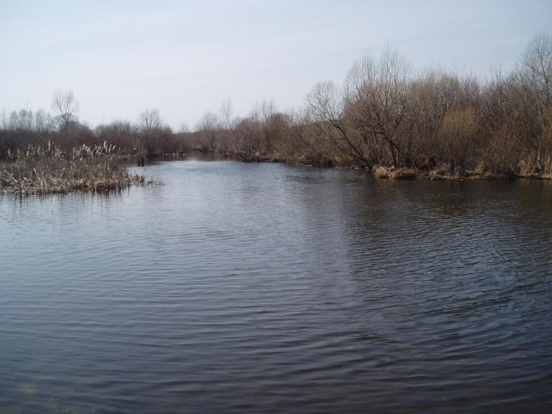 Рожковичи - Рожковичи