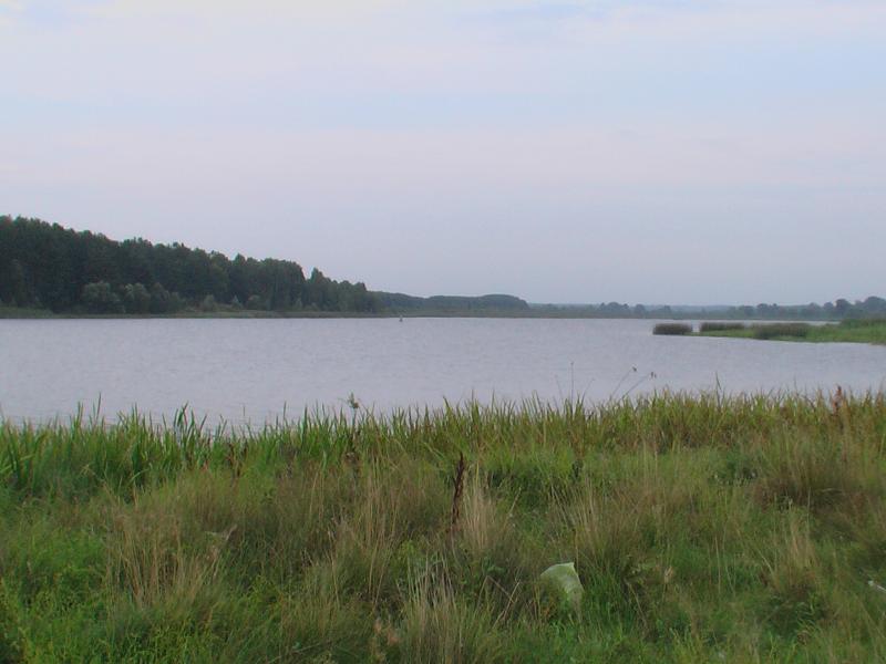 Рожковичи - Рожковичи