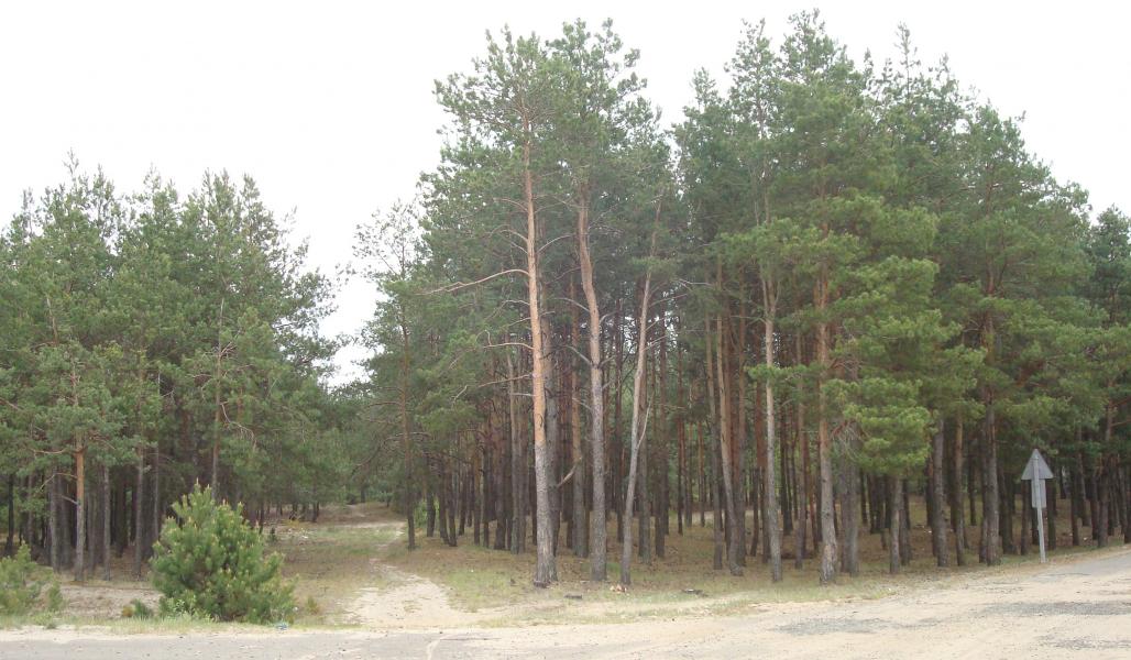 Наше село - Краска