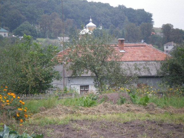 Бориничі - Борыничи