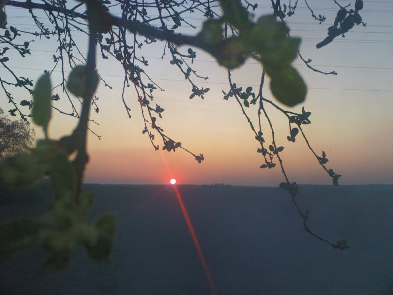 Озютичі - Озютичі