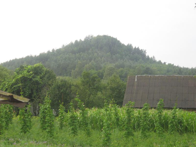 Родное село - Стожок