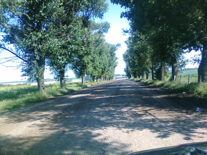 Наші фото - Костичани