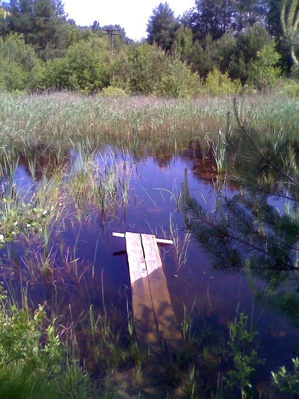 Природа Замлиння - Замлынье