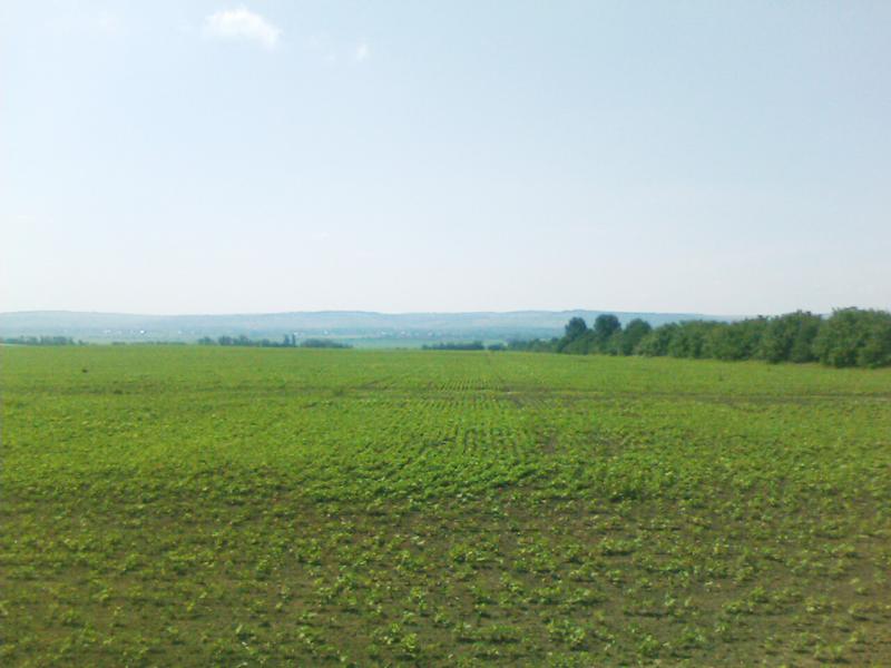 Наші фото - Костичани