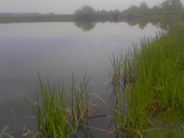 Наші фото - Паволочка