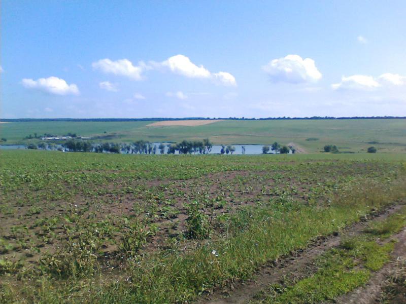 Наші фото - Костичани