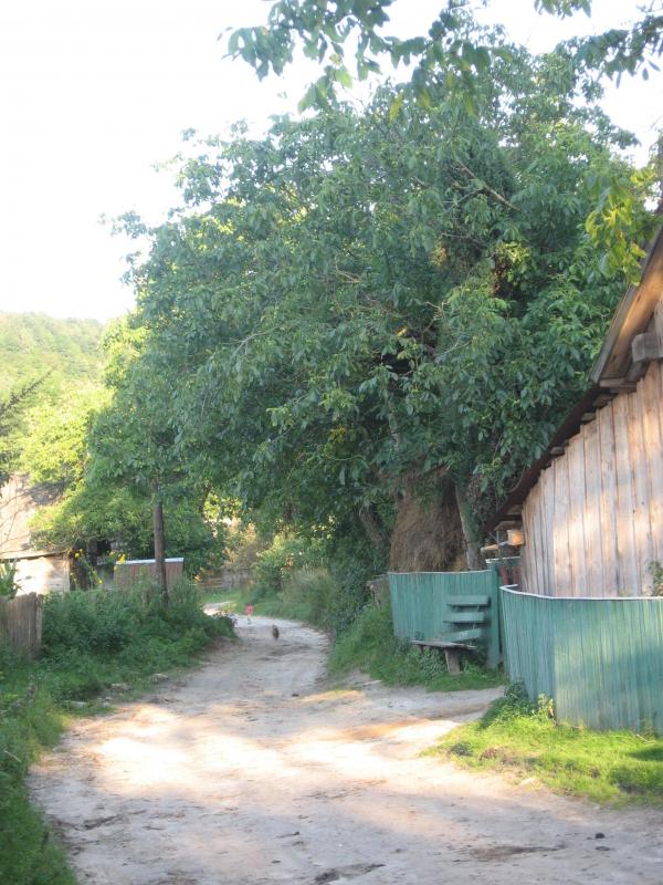 Родное село - Стожок