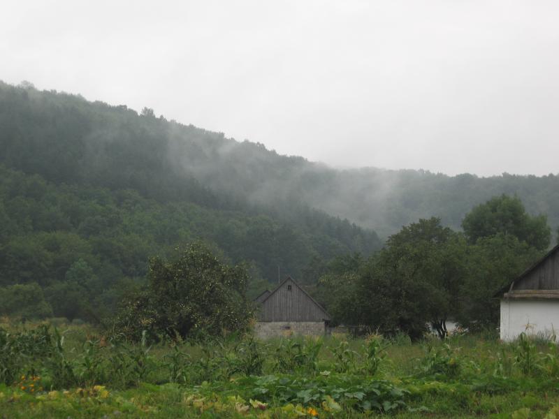 Родное село - Стожок