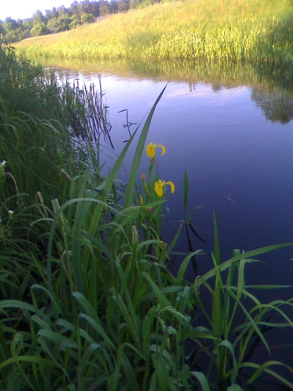 Природа Замлиння - Замлиння