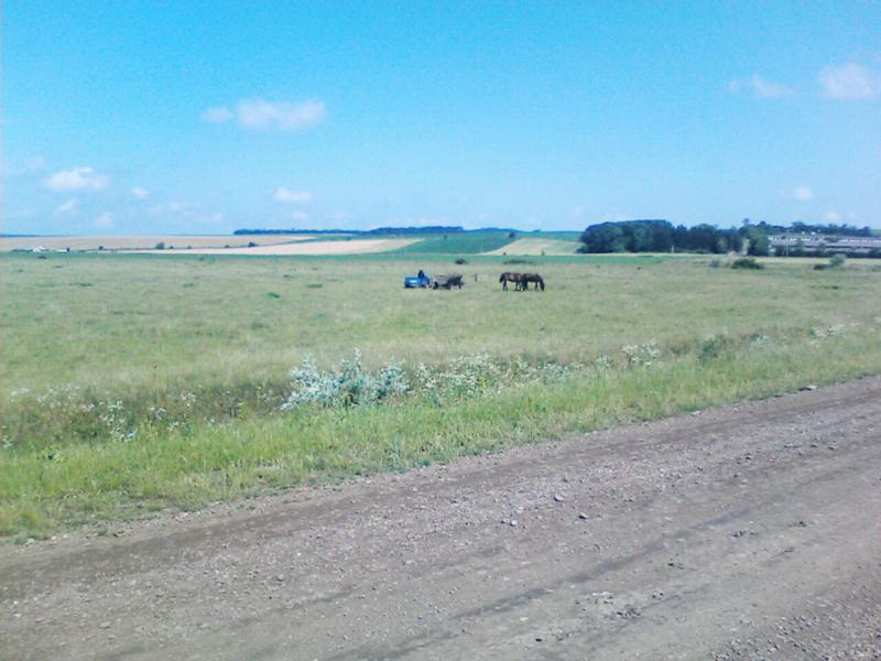 Наші фото - Костичани