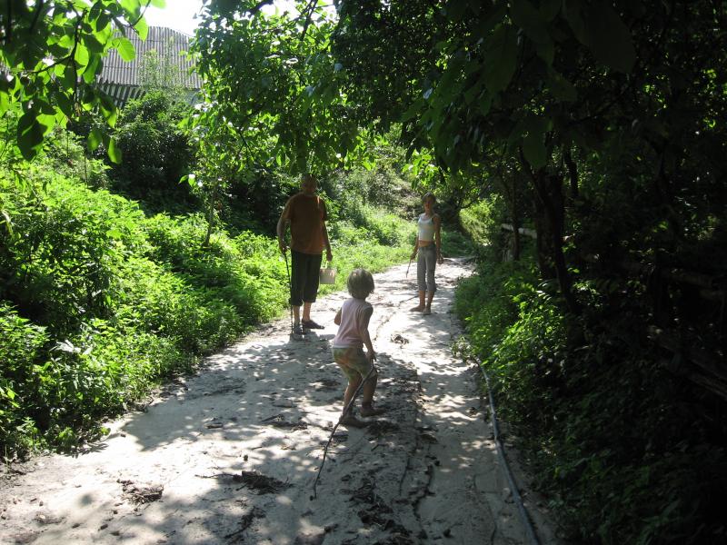 Родное село - Стожок