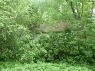 колодіївка і архітектура