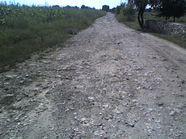РІДНЕ СЕЛО - Болган