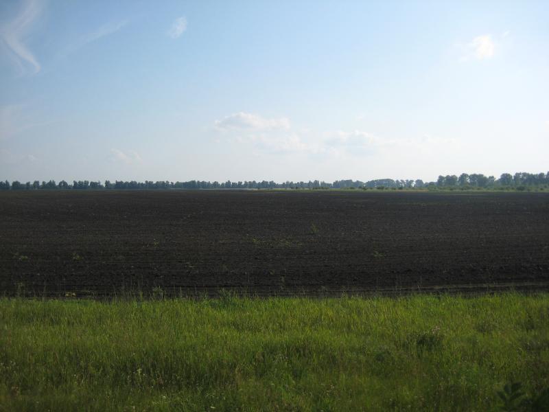 РІДНЕ СЕЛО - Данино