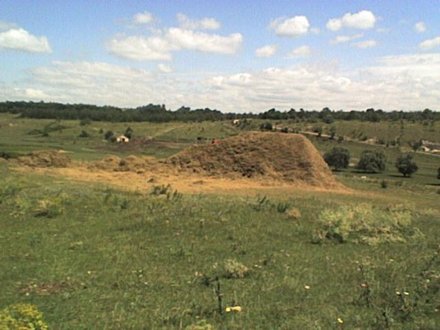 РІДНЕ СЕЛО - Болган