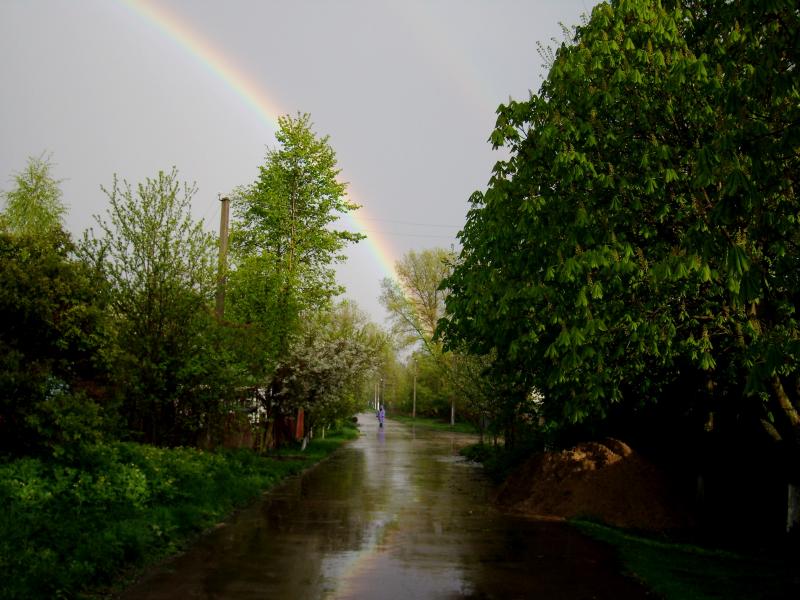 РІДНЕ СЕЛО - Данине