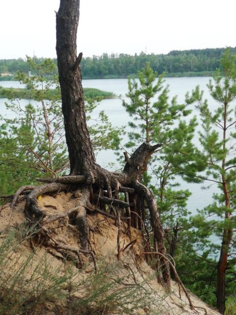 отдых в деревне) - Ушкалка