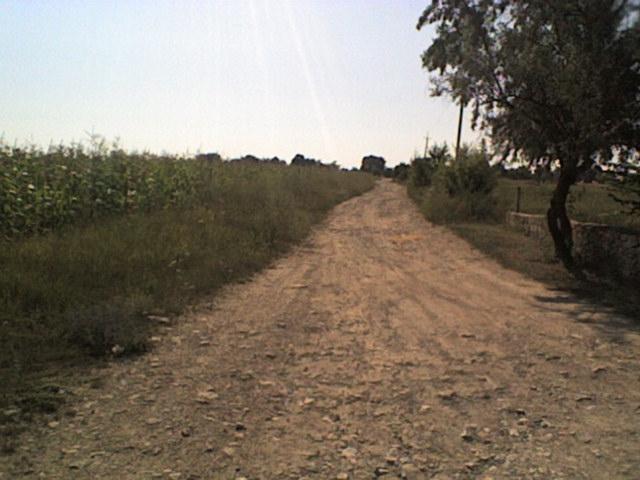 РІДНЕ СЕЛО - Болган
