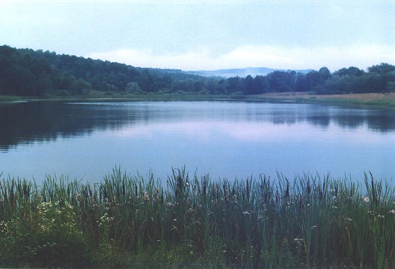 Краєвиди села - Кобаки