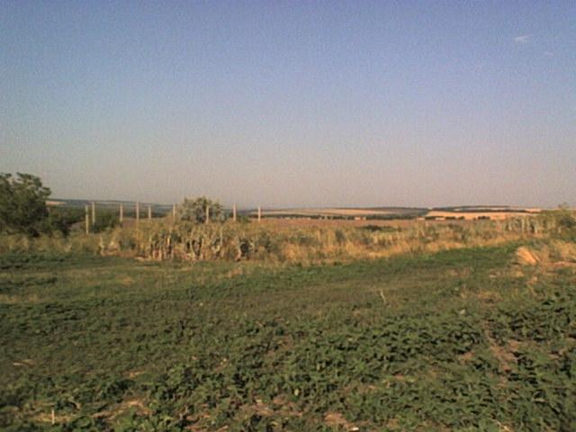 РІДНЕ СЕЛО - Болган