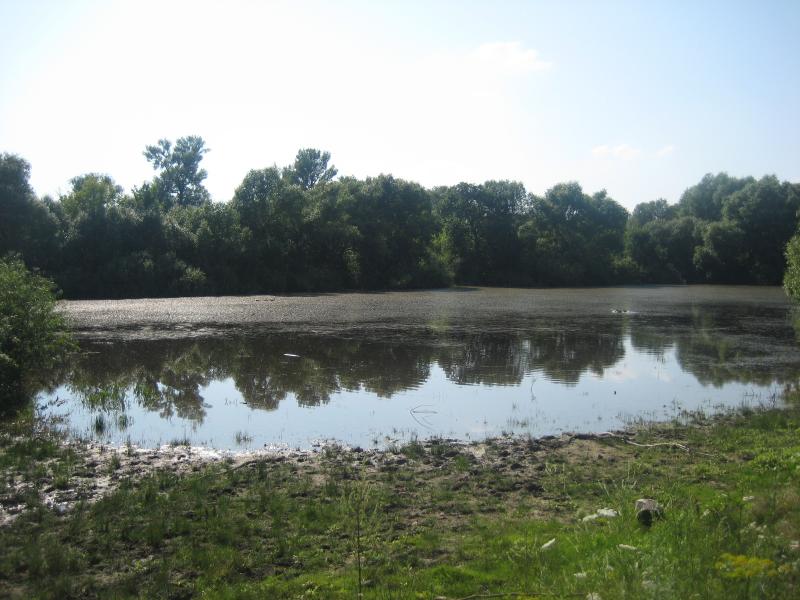 РІДНЕ СЕЛО - Данино