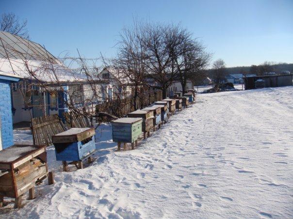 Село - Сабарівка