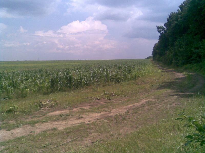 Наші фото - Коболчин