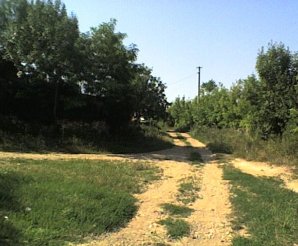 РІДНЕ СЕЛО - Болган
