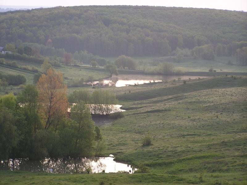 природа - Гоголі