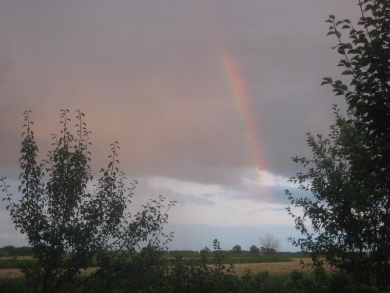РІДНЕ СЕЛО - Данине