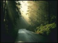 отдых в деревне)