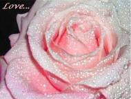 отдых в деревне)