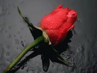 отдых в деревне)