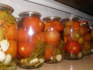 отдых в деревне)