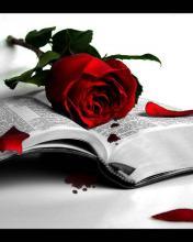 отдых в деревне)