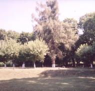 Парк села Деребчин