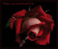 отдых в деревне)