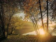 отдых в деревне)