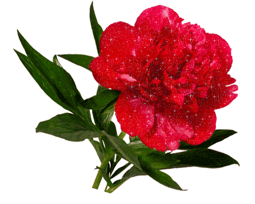 отдых в деревне)