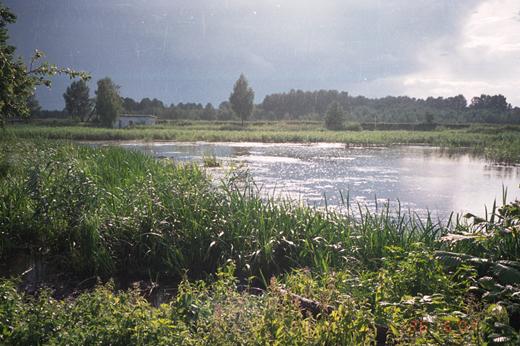 Давидівка - Давидівка