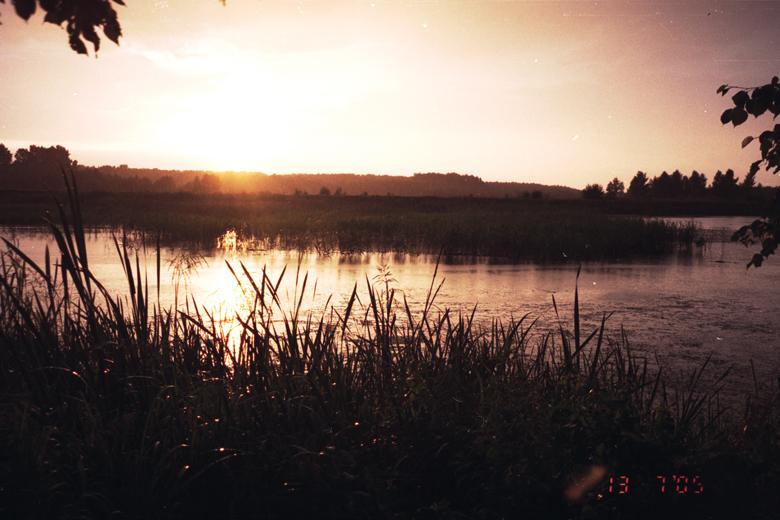 Давидівка - Давидівка