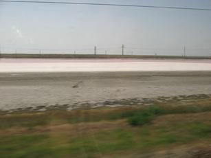 Паньківці - Паньківці