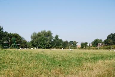 Школа - Хлиплі