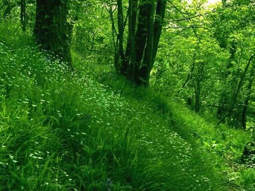 отдых в деревне) - Ушкалка