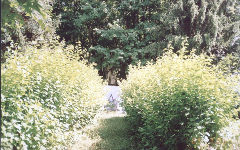 Парк села Деребчин - Деребчин